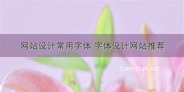 网站设计常用字体 字体设计网站推荐