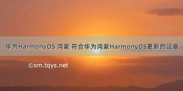 华为HarmonyOS 鸿蒙 符合华为鸿蒙HarmonyOS更新的设备