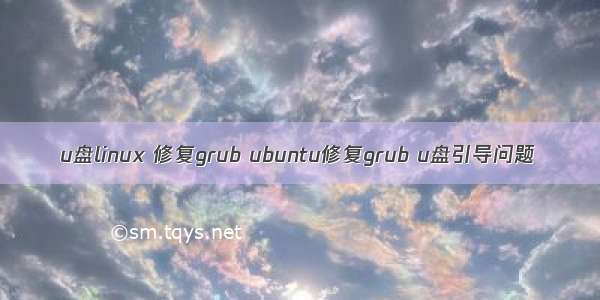 u盘linux 修复grub ubuntu修复grub u盘引导问题