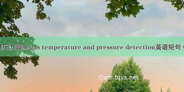 气体温度压力监测 gas temperature and pressure detection英语短句 例句大全