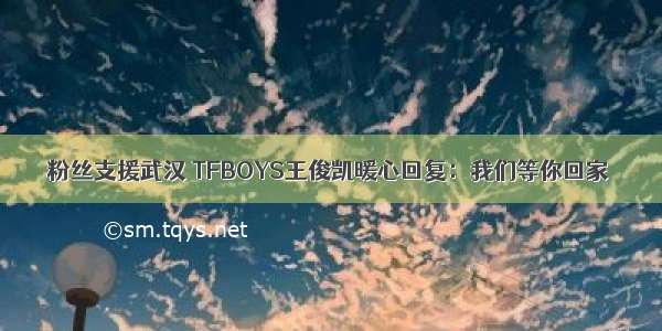 粉丝支援武汉 TFBOYS王俊凯暖心回复：我们等你回家