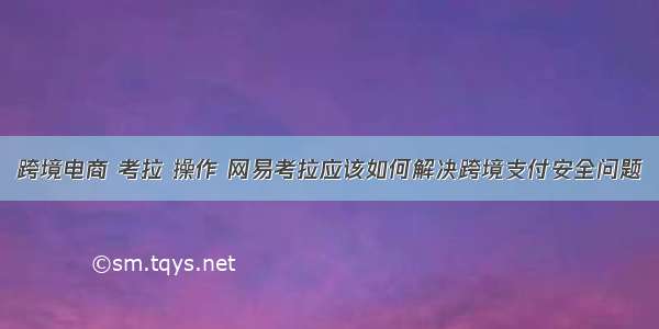 跨境电商 考拉 操作 网易考拉应该如何解决跨境支付安全问题