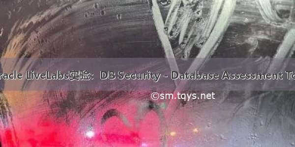 Oracle LiveLabs实验：DB Security - Database Assessment Tool