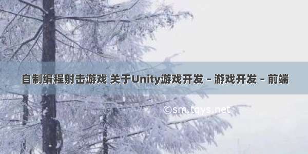 自制编程射击游戏 关于Unity游戏开发 – 游戏开发 – 前端