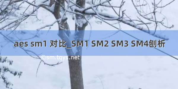 aes sm1 对比_SM1 SM2 SM3 SM4刨析