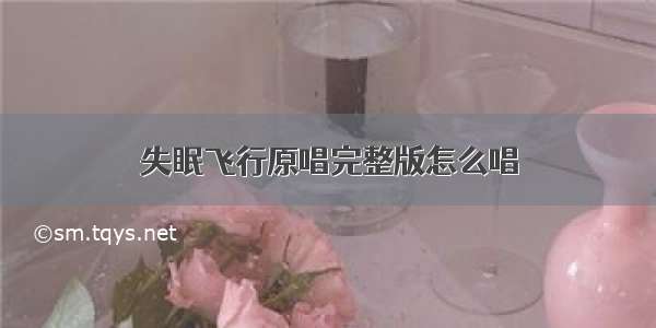 失眠飞行原唱完整版怎么唱