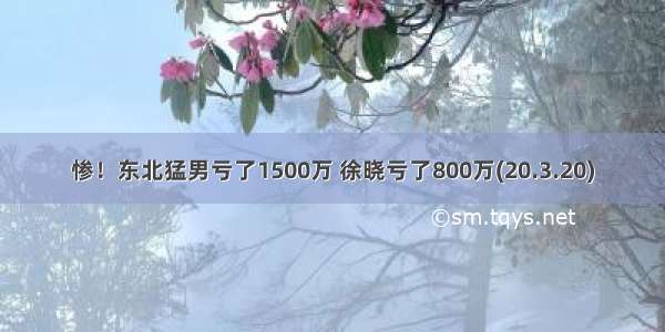 惨！东北猛男亏了1500万 徐晓亏了800万(20.3.20)