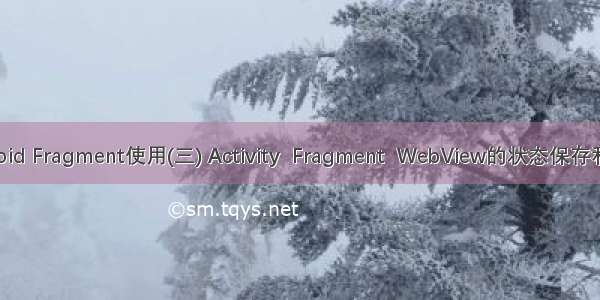 Android Fragment使用(三) Activity  Fragment  WebView的状态保存和恢复