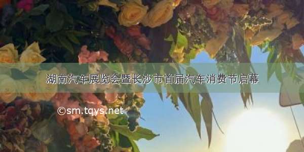 湖南汽车展览会暨长沙市首届汽车消费节启幕