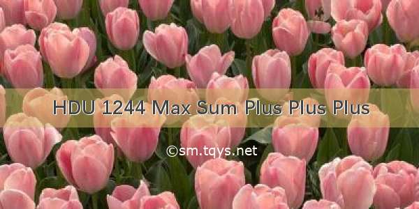 HDU 1244 Max Sum Plus Plus Plus