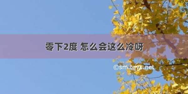 零下2度 怎么会这么冷呀