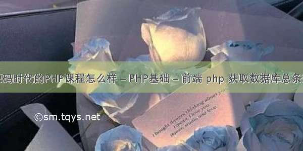 源码时代的PHP课程怎么样 – PHP基础 – 前端 php 获取数据库总条数