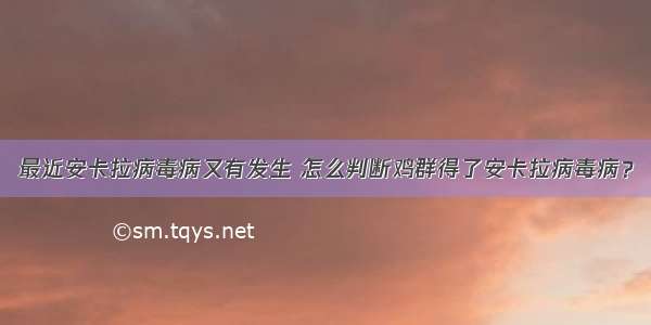 最近安卡拉病毒病又有发生 怎么判断鸡群得了安卡拉病毒病？