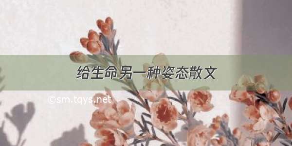 给生命另一种姿态散文