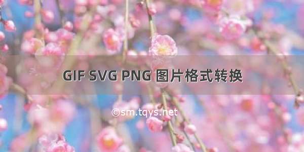 GIF SVG PNG 图片格式转换