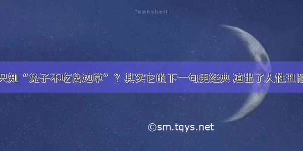 只知“兔子不吃窝边草”？其实它的下一句更经典 道出了人性丑陋