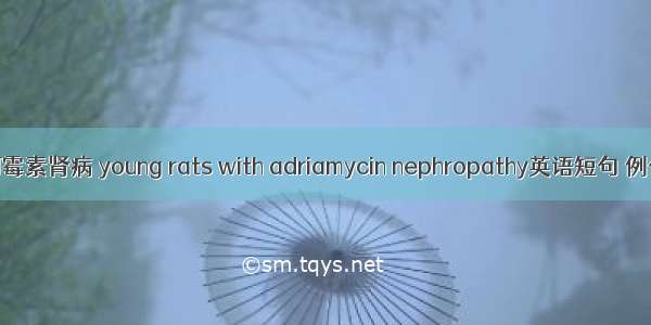 幼鼠阿霉素肾病 young rats with adriamycin nephropathy英语短句 例句大全