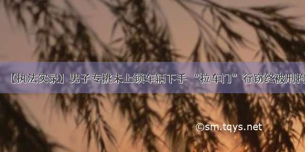 【执法实录】男子专挑未上锁车辆下手 “拉车门”行窃终被刑拘