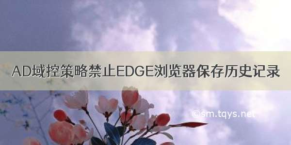 AD域控策略禁止EDGE浏览器保存历史记录