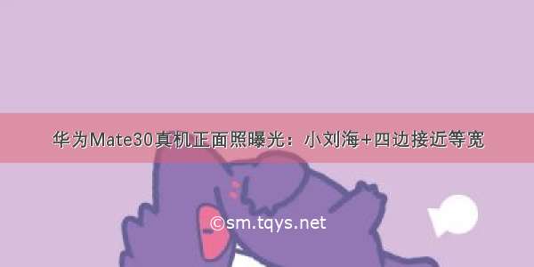 华为Mate30真机正面照曝光：小刘海+四边接近等宽