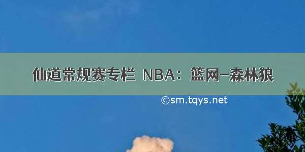 仙道常规赛专栏｜NBA：篮网-森林狼