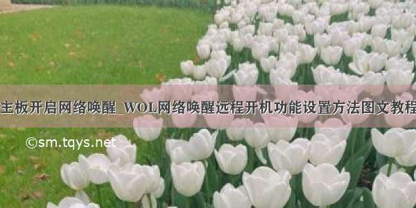 主板开启网络唤醒_WOL网络唤醒远程开机功能设置方法图文教程