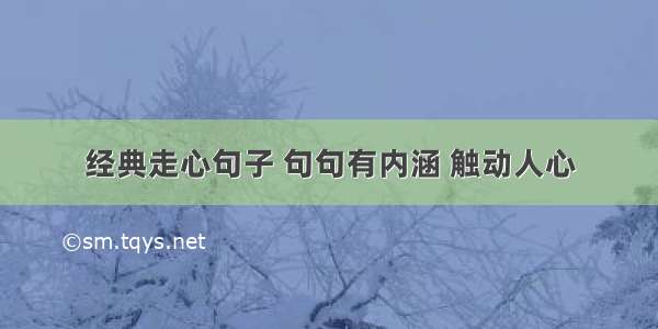 经典走心句子 句句有内涵 触动人心