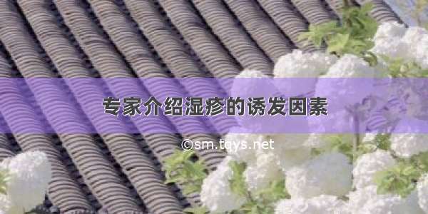 专家介绍湿疹的诱发因素