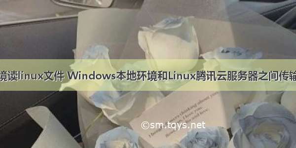window环境读linux文件 Windows本地环境和Linux腾讯云服务器之间传输文件的方法