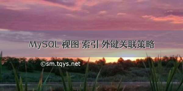 MySQL 视图 索引 外键关联策略