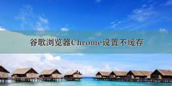 谷歌浏览器Chrome设置不缓存