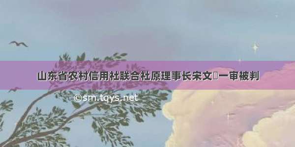 山东省农村信用社联合社原理事长宋文瑄一审被判