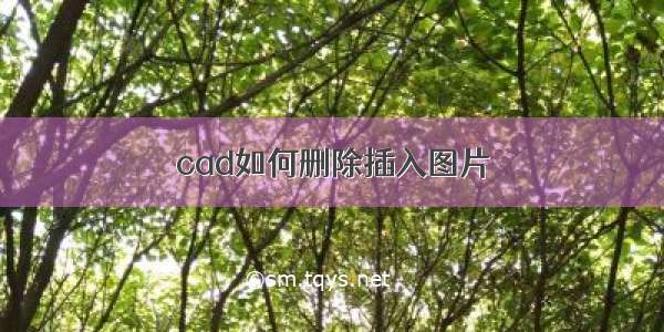 cad如何删除插入图片