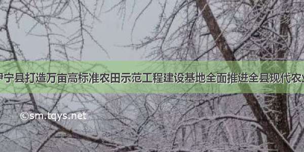 新疆伊宁县打造万亩高标准农田示范工程建设基地全面推进全县现代农业建设