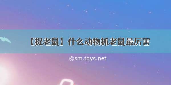 【捉老鼠】什么动物抓老鼠最厉害