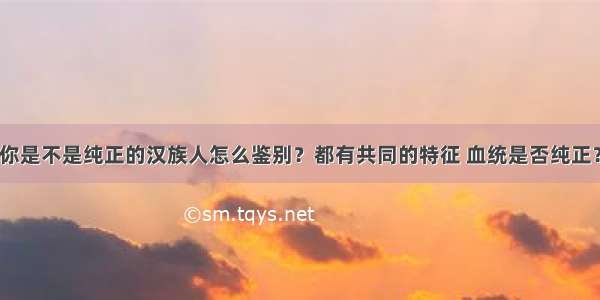 你是不是纯正的汉族人怎么鉴别？都有共同的特征 血统是否纯正？