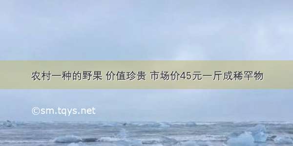 农村一种的野果 价值珍贵 市场价45元一斤成稀罕物