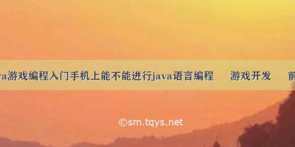 java游戏编程入门手机上能不能进行java语言编程 – 游戏开发 – 前端