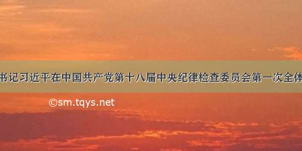 中共中央总书记习近平在中国共产党第十八届中央纪律检查委员会第一次全体会议指出 全