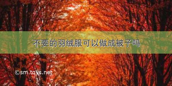 不要的羽绒服可以做成被子吗