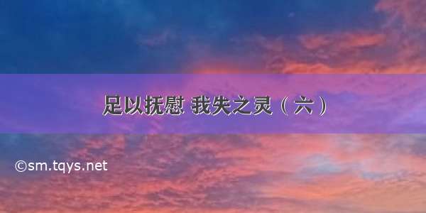 足以抚慰 我失之灵（六）