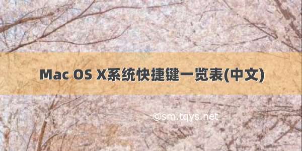 Mac OS X系统快捷键一览表(中文)