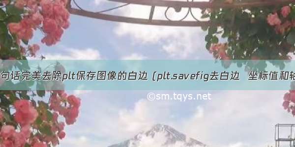 一句话完美去除plt保存图像的白边 (plt.savefig去白边  坐标值和轴)