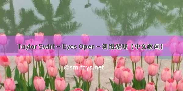 Taylor Swift - Eyes Open - 饥饿游戏【中文歌词】