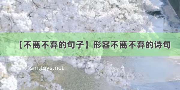 【不离不弃的句子】形容不离不弃的诗句