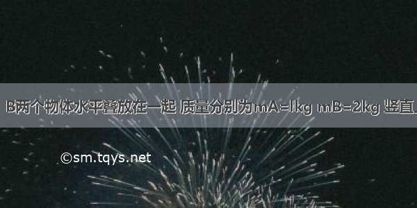 如图所示 A．B两个物体水平叠放在一起 质量分别为mA=lkg mB=2kg 竖直上抛两个物体