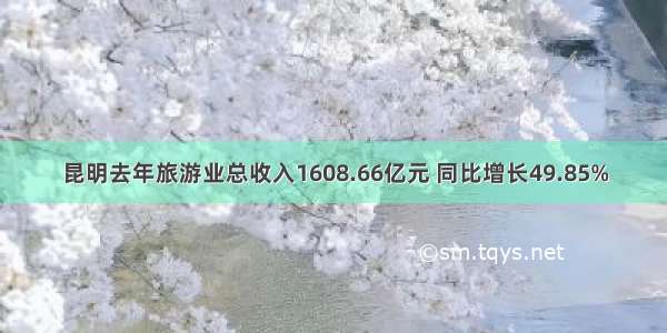 昆明去年旅游业总收入1608.66亿元 同比增长49.85%