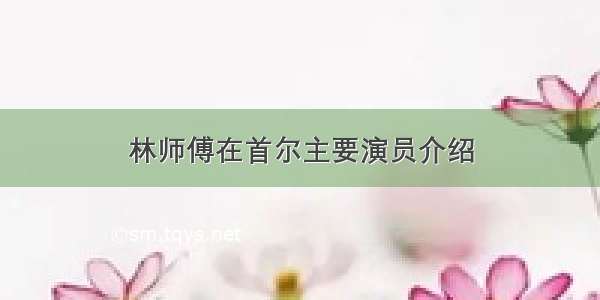 林师傅在首尔主要演员介绍