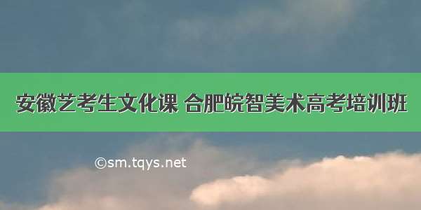 安徽艺考生文化课 合肥皖智美术高考培训班