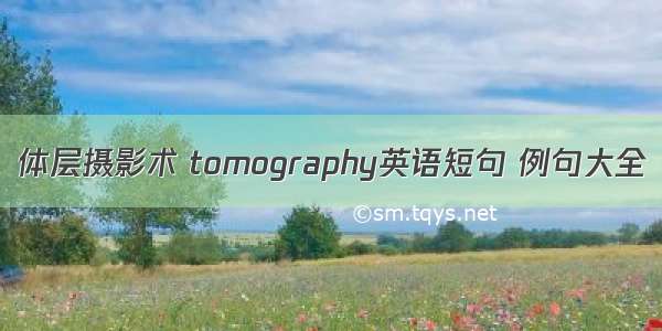 体层摄影术 tomography英语短句 例句大全